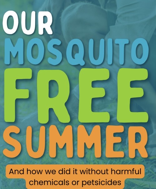 My Secret To A Mosquito Free Summer